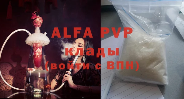 хмурый Белокуриха