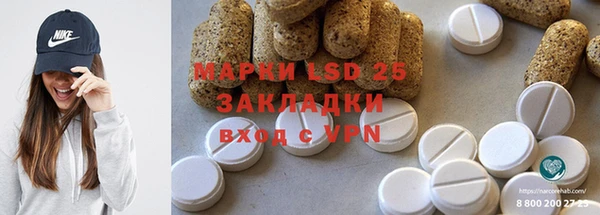 хмурый Белокуриха