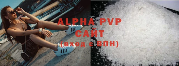 хмурый Белокуриха