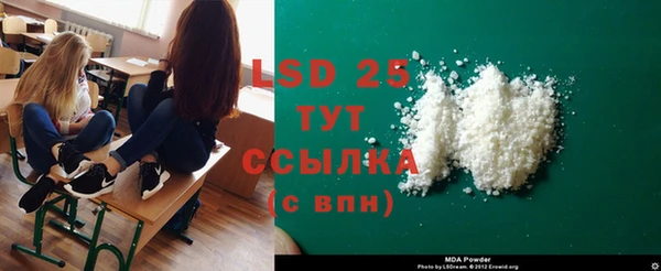 хмурый Белокуриха