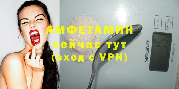 хмурый Белокуриха