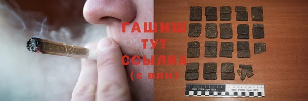 хмурый Белокуриха