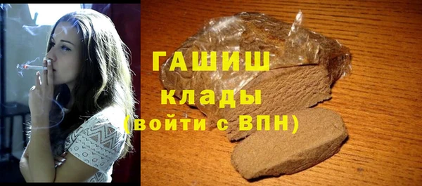 хмурый Белокуриха