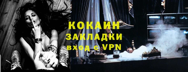 хмурый Белокуриха
