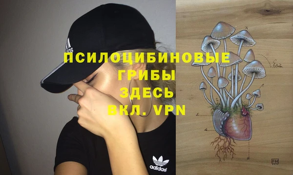 хмурый Белокуриха