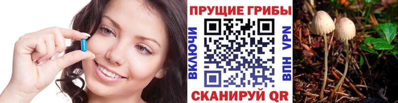 дарнет шоп  Гороховец  Галлюциногенные грибы мухоморы 